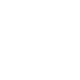 tick