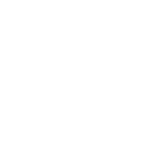 tick